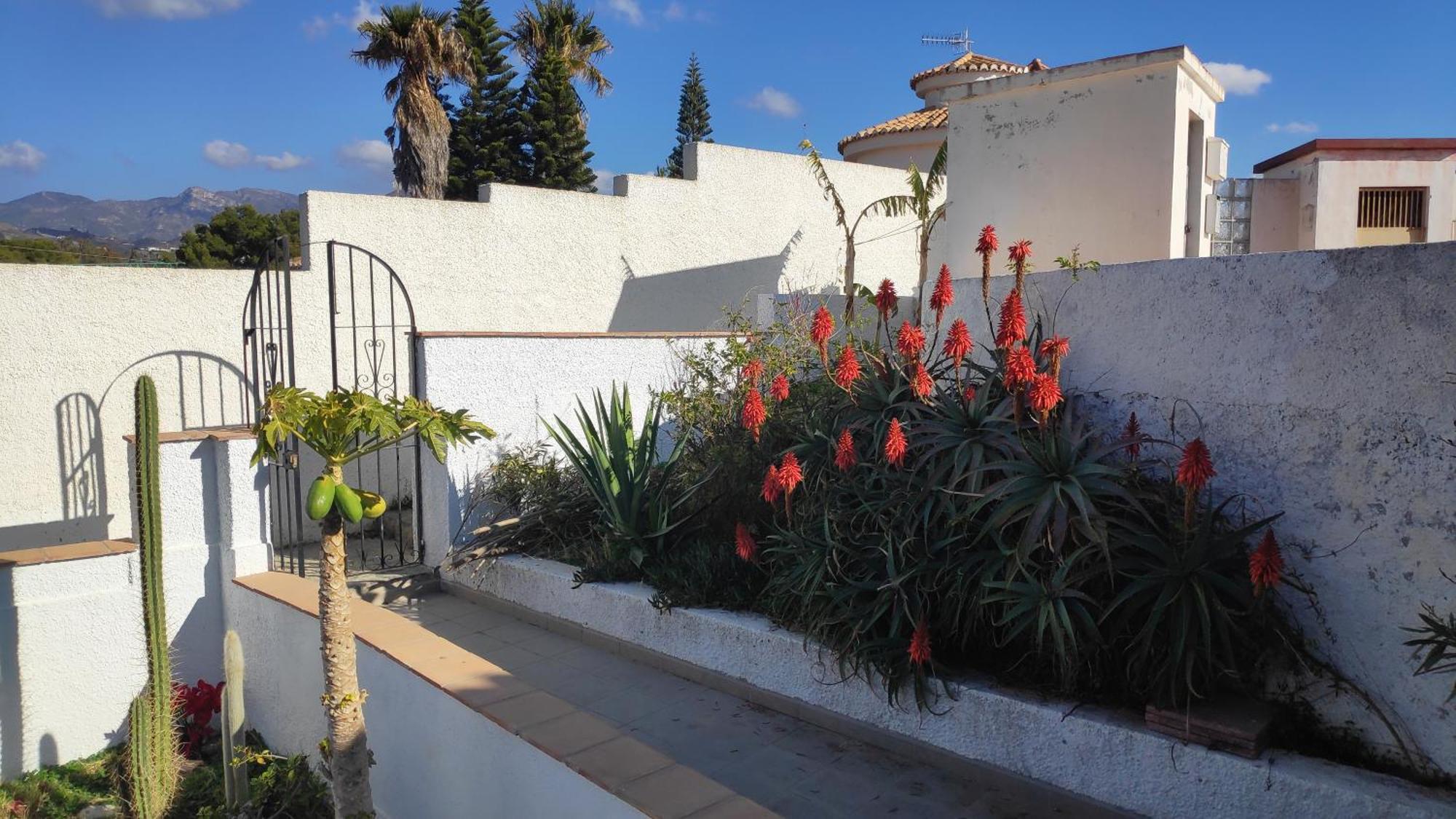 A Little Paradise With Super Views In Almunecar Exterior photo
